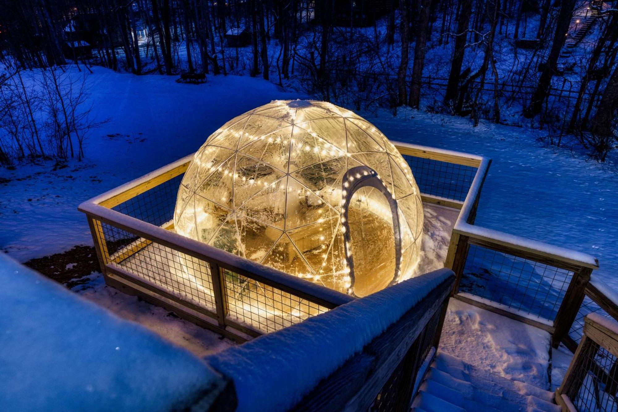The Moondance Cabin By Lightfoot Stays Vacation Rentals เซอเวียร์วีล ภายนอก รูปภาพ
